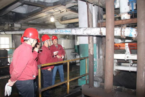 馬頭洗選廠提前完成全年生產任務，技術推廣助力高效發展