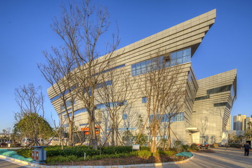 由廈門合道工程設(shè)計(jì)集團(tuán)和美國時(shí)境建筑合作設(shè)計(jì)的曲靖市文化中心博物館落成